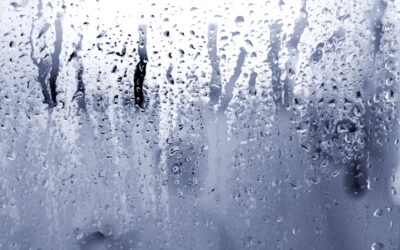 Alla mia finestra - infissi e qualità della vita 2 Come eliminare l’umidità in casa.